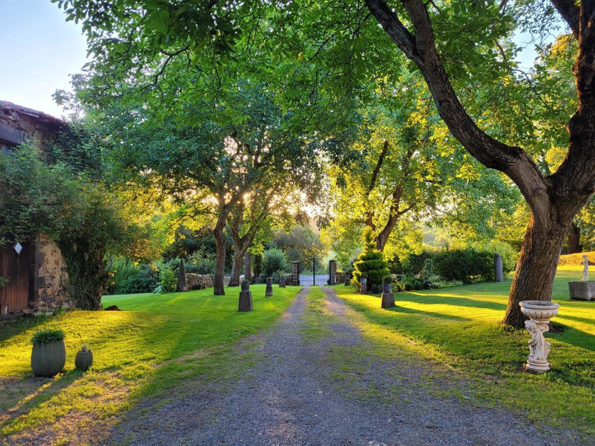 Gites Le Vieux Vinzelles Volvic Esterno foto