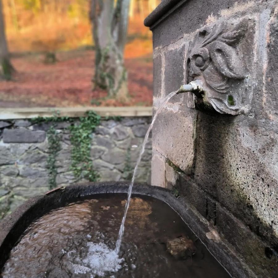 Gites Le Vieux Vinzelles Volvic Esterno foto
